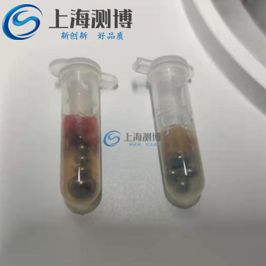 測博冷凍研磨儀能否完成小鼠肝組織腦組織研磨實驗|浙江工業(yè)大學實驗室
