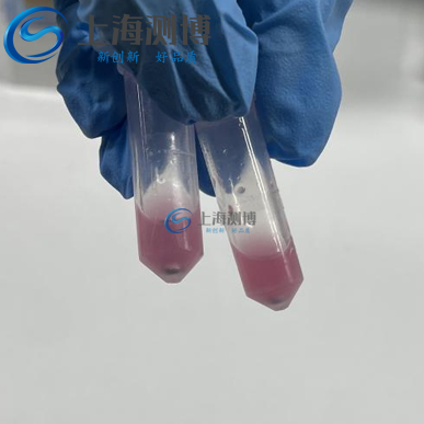 冷凍研磨儀助力動物睪丸組織蛋白、DNA 及 RNA 高效提取實驗案例