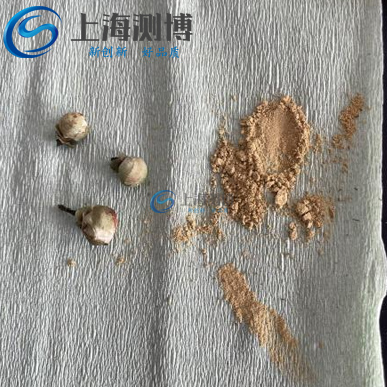 低溫破壁新突破！冷凍研磨儀解鎖山茶花活性成分高效提取密碼