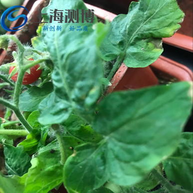 冷凍組織研磨機(jī)-CBCL-24研磨的實驗方法