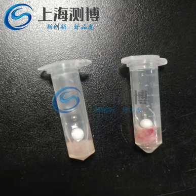 多樣品組織研磨儀研磨破碎動(dòng)物內(nèi)臟組織實(shí)驗(yàn)全過(guò)程